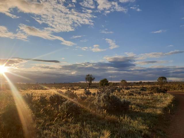 Merino Sheep Association | Australia